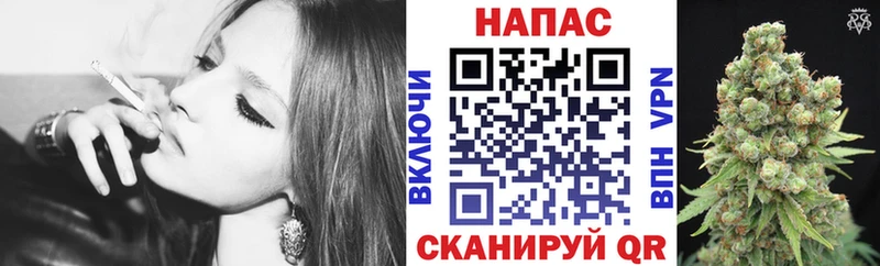 Шишки марихуана SATIVA & INDICA  Купить закладки  Бабаево 